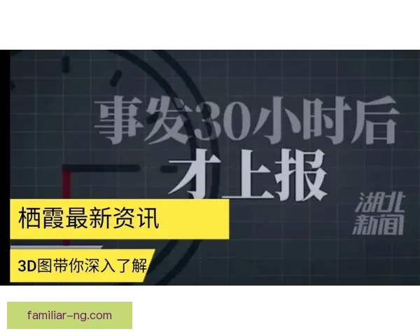 美因茨俱乐部官方动态带你深入了解球队最新战绩与精彩瞬间